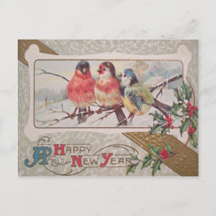 Liedvogel Hulst Sneeuw Briefkaart