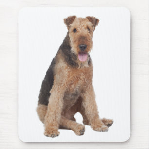 Lief Airedale Terrier Puppie Hond Muismatje Muismat