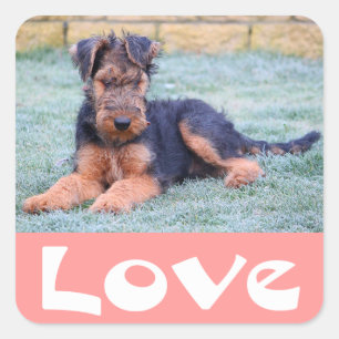 Lief Airedale Terrier Puppie Hond Roze Sticker