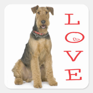 Lief Airedale Terrier Puppie Hond Sticker