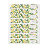 Lief Baby Meisje Roze Citrus Lemons Douche Party (Vel)