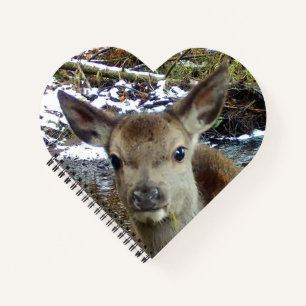 Lief Babyhertje Bosland Ree Schrijfdagboek Notitieboek