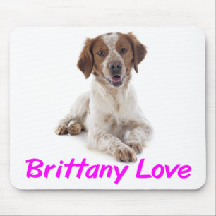 Lief Brittany Spaniel Puppy Hond Muismatje Muismat