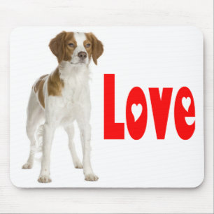 Lief Brittany Spaniel Puppy Hond Muismatje Muismat