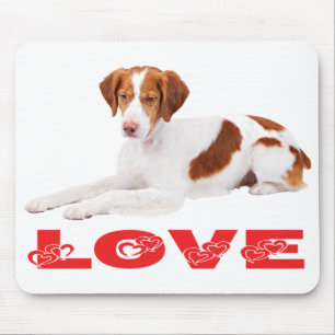 Lief Brittany Spaniel Puppy Hond Muismatje Muismat
