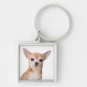 Lief Chihuahua Puppie Hond Sleutelhanger