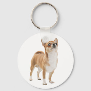 Lief Chihuahua Puppie Hond Sleutelhanger