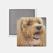 Lief Cockapoo-hond die lacht Magneet (Voorkant / Achterkant)