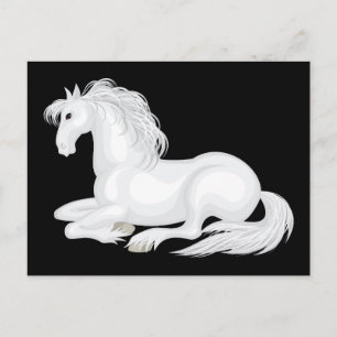 Lief Cute Witte Paard Equestrian Paarden Pony Briefkaart