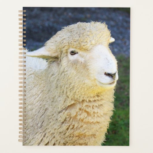 Lief en vriendelijk schaap planner (Voorkant)