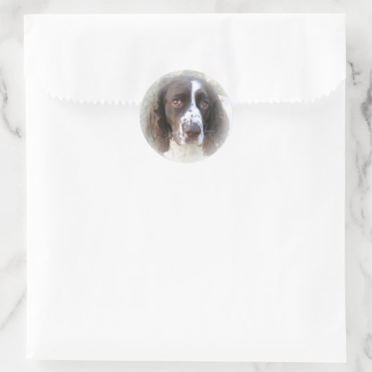 Lief Engels Springer Spaniel Stickers (Tas)