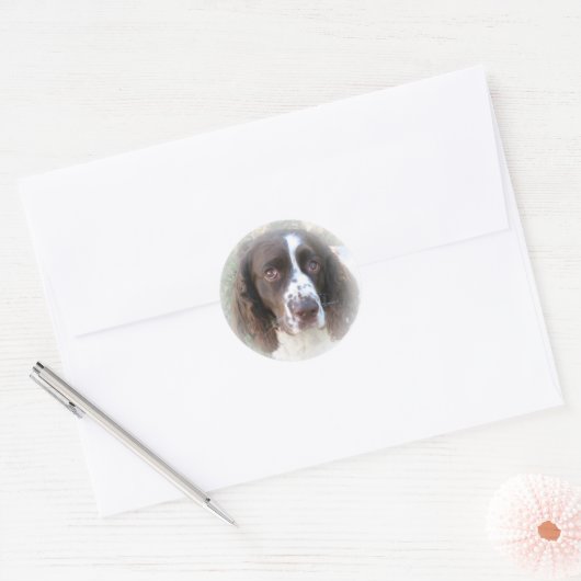 Lief Engels Springer Spaniel Stickers (Envelop)