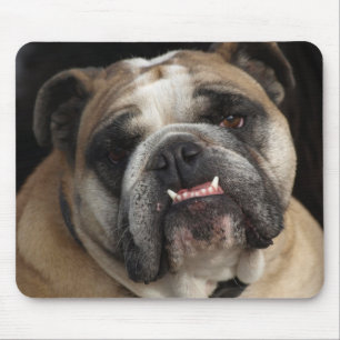 Lief Engelse Bulldog Puppy Hond Muismat