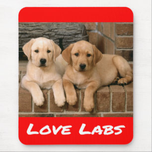 Lief gele Labrador Retriever Puppy Hond Muismat