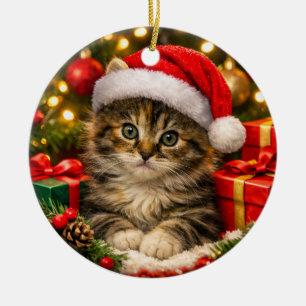 Lief Knuffelig Kattenkerstboomornament Keramisch Ornament