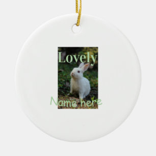Lief konijn knuffel huisdier foto naam groene past keramisch ornament