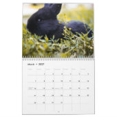 Lief konijntje konijnen 2024 kalender (Mar 2027)