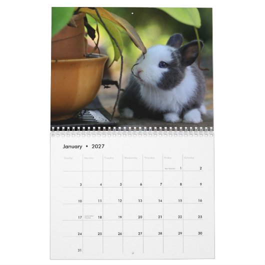 Lief konijntje konijnen 2024 kalender (Jan 2027)