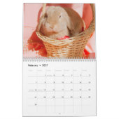 Lief konijntje konijnen 2024 kalender (Feb 2027)