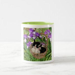 Lief mandje met baby konijnen tweekleurige koffiemok