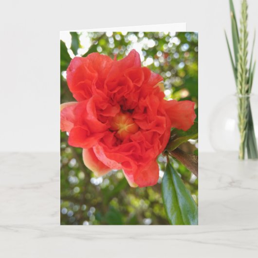 LIEF Moeder Moederdag Geschenk Kaart (Voorkant)