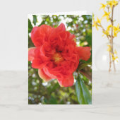 LIEF Moeder Moederdag Geschenk Kaart (Gele Bloem)