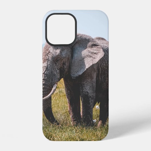 LIEF OLIFANT iPhone HOESJE (Achterkant)