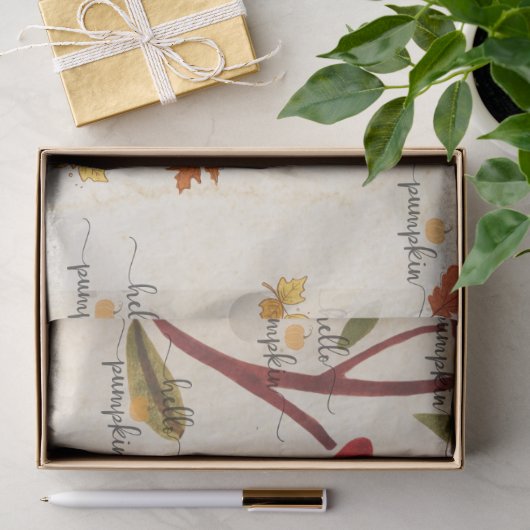 Lief pompoentje tissuepapier (Geschenk)