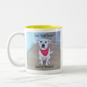 Lief Schattige Puppy Dog Soulful Face Get Well Bin Tweekleurige Koffiemok