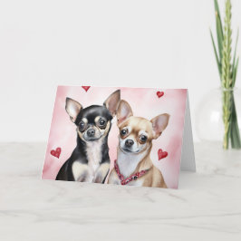 Lief Stel Chihuahua's Kaart