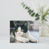 Lief "Thinking Of You" Tuxedo kitten groet Briefkaart (Staand voorkant)