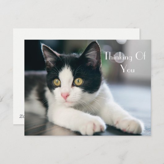 Lief "Thinking Of You" Tuxedo kitten groet Briefkaart (Voorkant / Achterkant)
