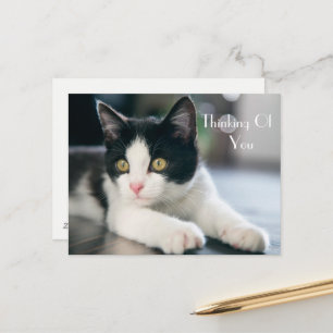 Lief "Thinking Of You" Tuxedo kitten groet Briefkaart