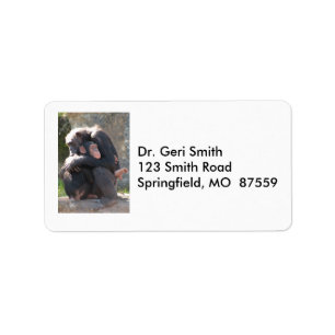 Lief! Twee chimpansees delen een liefdevolle knuff Etiket