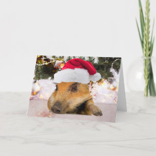 Lief varken in kerstmuts kerstboom feestdagen kaart