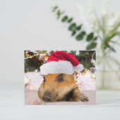 Lief varken in kerstmuts kerstboom feestdagenkaart (Staand voorkant)