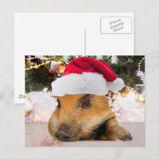 Lief varken in kerstmuts kerstboom feestdagenkaart (Voorkant / Achterkant)