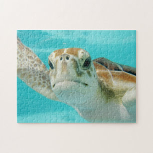 Lief Zeeen schildpad gezicht in helder water Legpuzzel