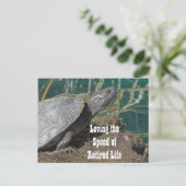 Liefdadig leven - Humoureuze schildpad foto grappi Briefkaart (Staand voorkant)