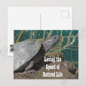 Liefdadig leven - Humoureuze schildpad foto grappi Briefkaart (Voorkant / Achterkant)