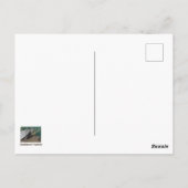 Liefdadig leven - Humoureuze schildpad foto grappi Briefkaart (Achterkant)