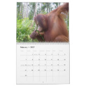liefdadigheid in het wild van Krista Orangutan 201 Kalender (Feb 2027)
