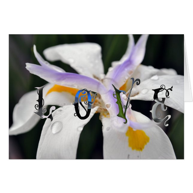 Liefde (Voorkant Horizontaal)