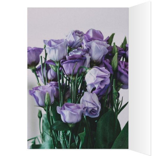 Liefde (Binnen (Links))