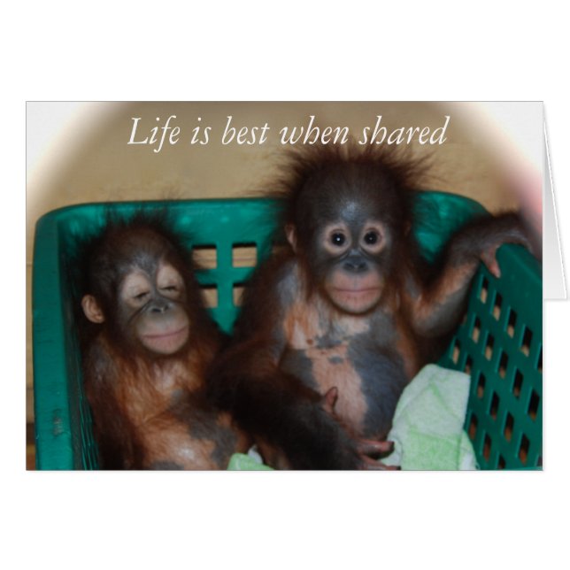 Liefde (Voorkant Horizontaal)