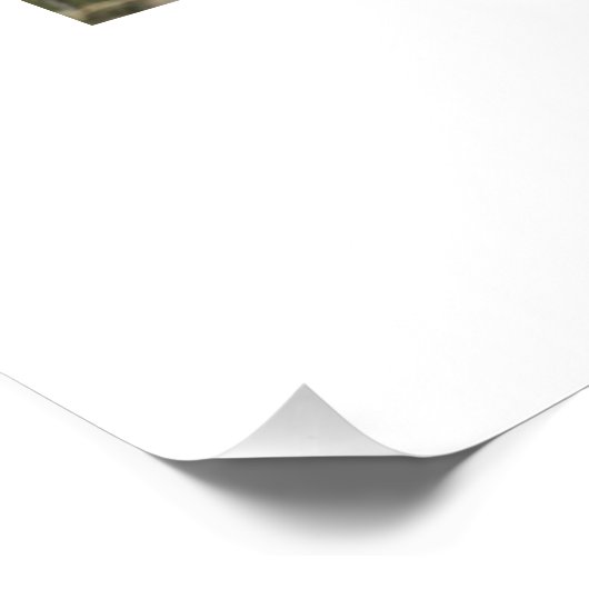 Liefde 4 foto eenvoudig modern gepersonaliseerd ca perfect poster (Hoek)