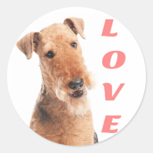 Liefde Airedale Terrier Puppie Hond Sticker