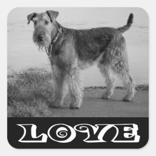 Liefde Airedale Terrier Puppie Hond Sticker
