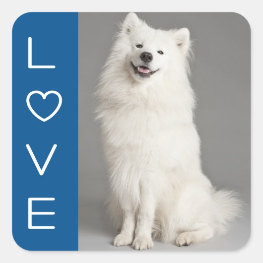 Liefde Amerikaanse Eskimo Puppy Dog Sticker / Labe (Voorkant)