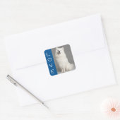 Liefde Amerikaanse Eskimo Puppy Dog Sticker / Labe (Envelop)